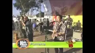 Drop Baby Drop - Pumana - David Walker Drummer