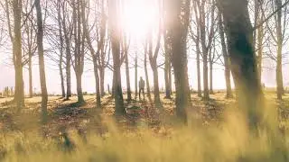 Avicii - Silhouettes (Mugen & Riwall Harjay Remix)