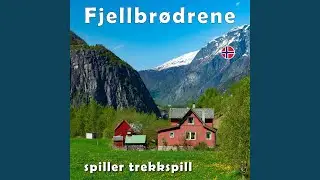 Dansefest i Dalen