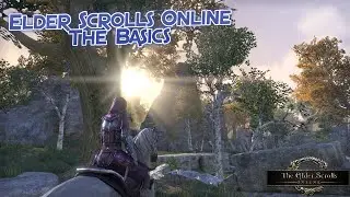 The Elder Scrolls Online: The Basics - How to Sell Stolen Items