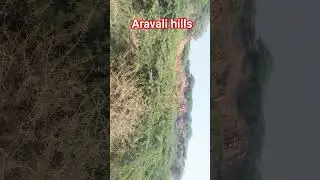 aravali hills haryana solo cycling🚴 👍💯