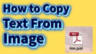 How to Copy Text From Image in PC - Windows 11