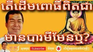 Episode 20: តើដើមពោធិ៍ពិត ជាមានបារមីមែនឬ? បកស្រាយដោយលោកគ្រូ Long Vudthy