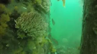 Grand Narrows 2016/09/10