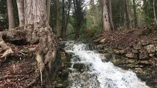Hickory Falls Georgetown Ontario