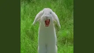 There is no god
