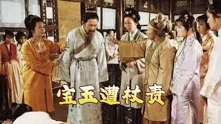 偏要对着干！贾宝玉以至情守护真心 在纲常森严的时代活成最特别的存在《百家讲坛》 红楼名场面（第二部） 7 宝玉遭杖责 20251219 | CCTV百家讲坛官方频道