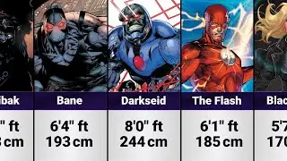The Height Of DC Characters