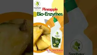 Pineapple Bio-Enzymes : Life changer