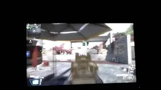 Quick dogs on black ops 2