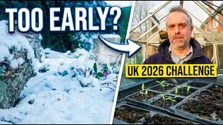 Starting Seeds in January (UK) &ndash; Too Early?