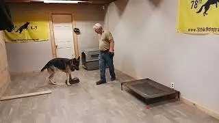 Is your dog having fun when you train? #germanshepherd #dogtraining #fun 