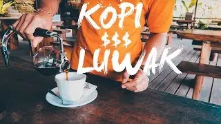 Best coffee experience in Bali