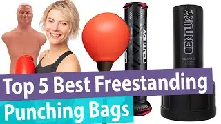 Best Free Standing Punching Bag: Top 5 Reviews [Buying Guide 2023]