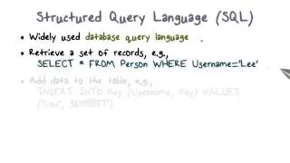 Structured Query Language (SQL)