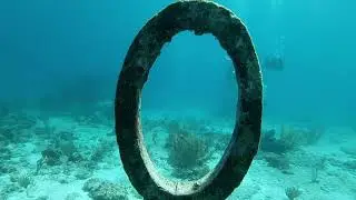 Mexico Diving Trip