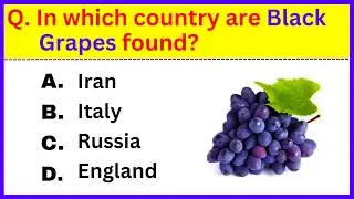 🫵 Вы против 30 вопросов на общие знания 🧐