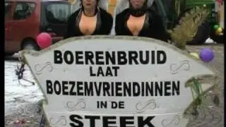 Optocht Bakel 2010 Deel 2