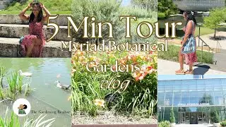 5 Min-Myriad Botanical Gardens Tour 🌸 | Flowers, Waterfalls & Wildlife in Oklahoma City, OK