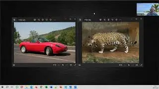 Modèles pré-entraînés pour le classement d’images (PyTorch / Python)