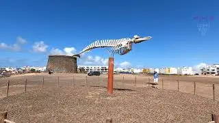 Fuerteventura/ El Cotillo/ Labyrinth/ Montanas de la Blanca/ Surfer Beach Piedra/ City center