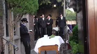 הגשת לולב-כ' תשרי ה'תשפ
