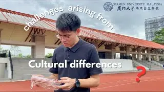 &ldquo;Challenges Arising from Cultural Differences&rdquo;