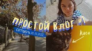 простой влог #1 | учёба и жизнь в Турции.