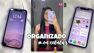 ORGANIZADO MEU CELULAR DO ZERO📱💗