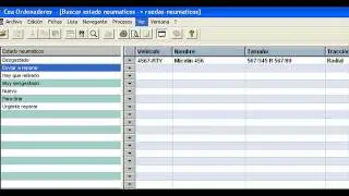 software control y gestion  de neumaticos, llantas descargue gratis el software