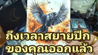 🌍✨️ ถึงเวลาสยายปีกของคุณแล้ว✨️🌈#แม่หมอชุลีกร #ไพ่ยิปซี #ไพ่ทาโรต์ #ดูดวงไพ่ยิปซี #tarotreading 