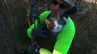 Baby Boi, aka Dumpster, cat-in-a-tree rescue 360&deg; 4K unedited