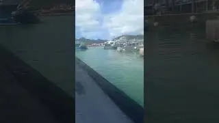 Boat Ride || St.Maarten || #travel #caribbeanisland #shorts