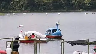 一羽のカモメ　中村潤