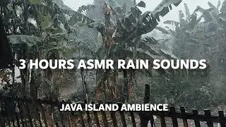 Tropical Rain Sounds | 3 Hours of Natural Rain in Java Island