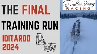 My Journey: Dallas Seavey's Quest for a Historic 6th Iditarod Win