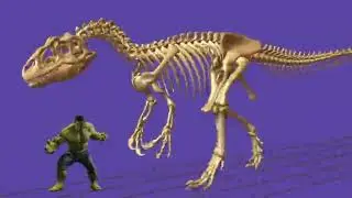 Allosaurus tribute