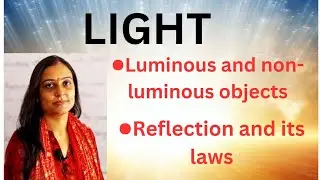 Light#Reflectionoflight#lawsofreflection#luminous&non-luminousobject#importanttopic#basicscience