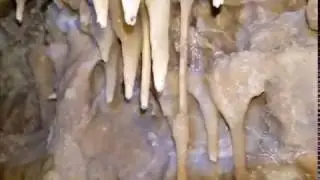 Wild New Cave Adventure With Bats and a Skull