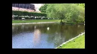 Same minutsfilm about the birt in the city by my mobilcamera