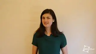 Self-Organized Teams - learn Management