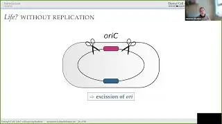 Build-a-Cell seminar Johannes Kabisch: Eternal-Cell: Life? without replication