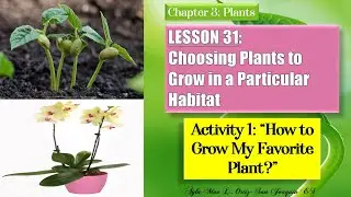 SCIENCE IV  |  Lesson 31: Choosing Plants to Grow in a Particular Habitat