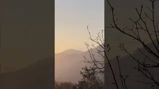 Watch the beautiful sunrise with the charming sound of Cuckoo bird singing.#singingbirds #sunrise