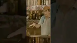 Mu&ccedil;&atilde;o, bruto n&atilde;o, os coice da burra!