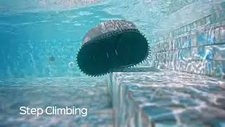 Wall Climbing, Smart Planning & Strong Suction &ndash; WYBOT C1 Full Review