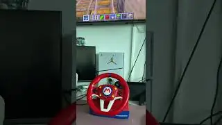 Monta&ntilde;a rusa de minecraft
