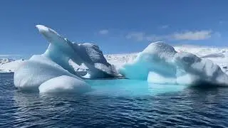 Life in Extreme Cold ❄️ | Wildlife of Snowy Mountains & Frozen Rivers | Great