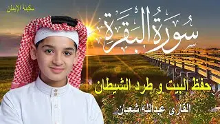 سورة البقرة كاملة, القارئ عبدالله شعبان لحفظ المنزل و رقية من السحر   Surah Baqarah