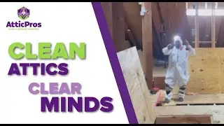 Attic Cleaning in Concord, CA
